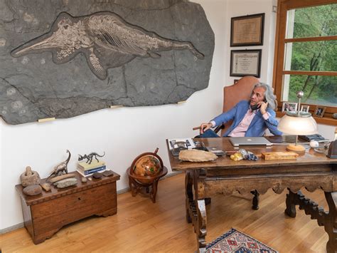 Fossil Display Living Room