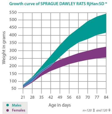 Rat Sprague Dawley® Janvier Labs