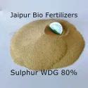 Form Powder Sulphur 80 WDG For Agriculture Fungicide 1 Kg 25 Kg 50