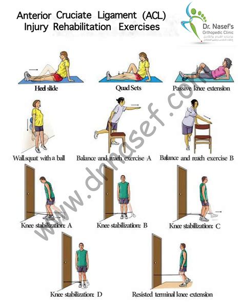 ACL Rehabilitation – One page - DrNasef
