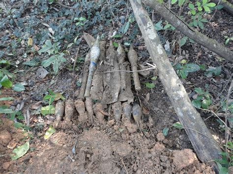 Remnants of the Secret War in Laos | The Diplomat