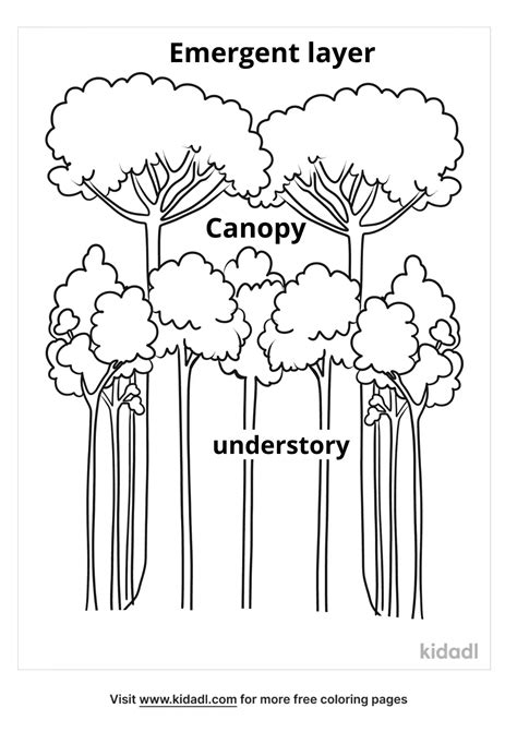 rainforest coloring pages 5