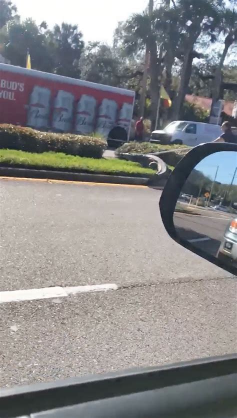 Wild moment crocodile ESCAPES from van and runs down street before