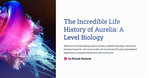 The Incredible Life History Of Aurelia A Level Biology