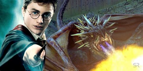 Could Harry Potter Be Richer Than His Magical Brand? - Veja Store Site
