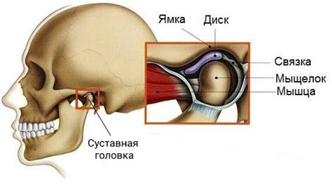 Вывих челюсти