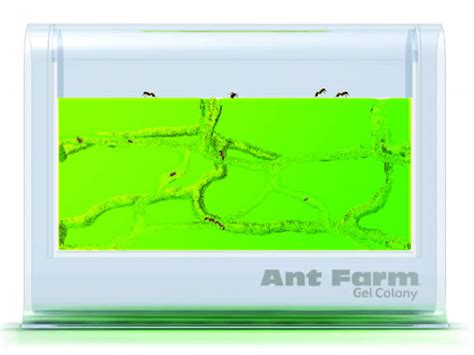 Ant Farm Gel Colony By Uncle Milton