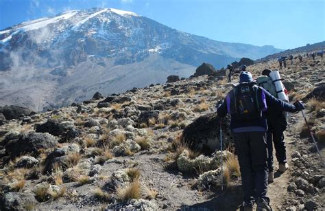 Kilimanjaro Climb Via Lemosho Route 8days 7nights Travel Booking