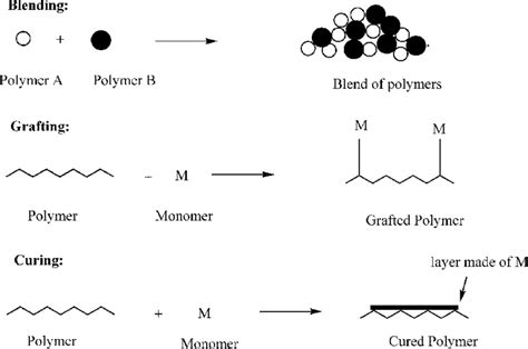 Schematic Representation Of The Methods Of Polymer Modification Download Scientific Diagram