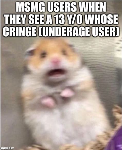 Scared Hamster Imgflip