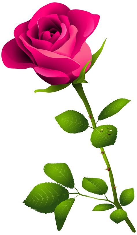 Long Stem Rose Clipart Free Download On Clipartmag