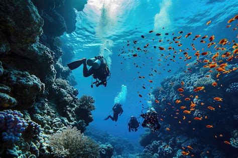 Premium Photo | Scuba Diving Men in Blue Water Diving in the Great Barrier Reef Tropical Divers ...