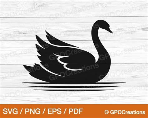 Swan SVG, Beautiful Swan SVG, Swan Cut File, Swan Vector, Swan PNG ...