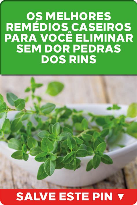 Os melhores remédios caseiros para você eliminar sem dor pedras dos