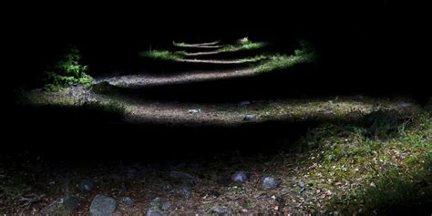 Trailrunning in a dark forest [OC][3000x1500] : r/ExposurePorn