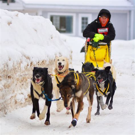 Dog-Sled-Race-Registration - Kearney Dog Sled Races