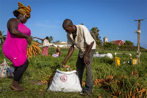 Economic Growth Innovation Lab For Small Scale Irrigation