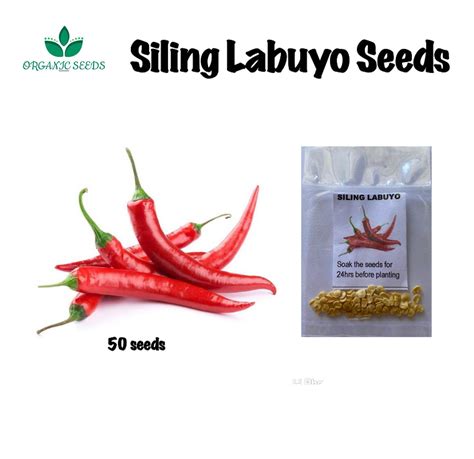 Siling Labuyo Seeds Pcs Lazada Ph