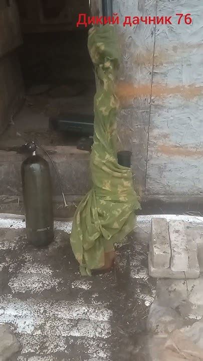 Биг хорн - YouTube