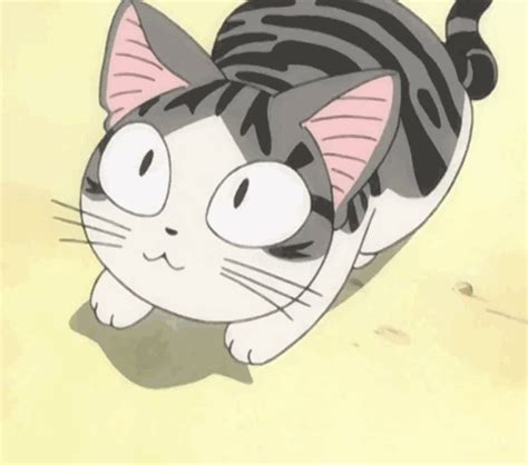 Pin De Moonlight🌙 En Chi The Cat El Dulce Hogar De Chi Gatos Bonitos