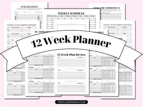 12 Week Plan Template