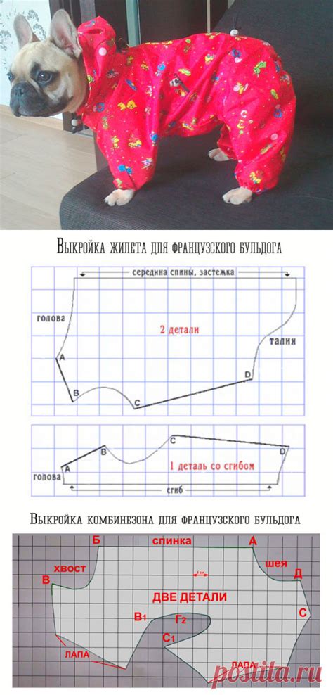Одежда для французского бульдога, выкройки для французского бульдога ...