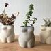 Concrete Body Vase Plant Pot Naked Body Bud Vase Curvy Etsy