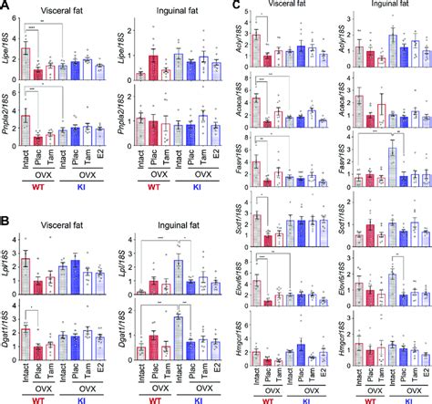 Differential expression profile of fat metabolism related genes in ...