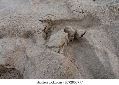 surface beach close stock photo  shutterstock