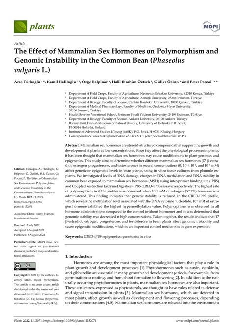 PDF The Effect Of Mammalian Sex Hormones On Polymorphism And Genomic Instability In The Common