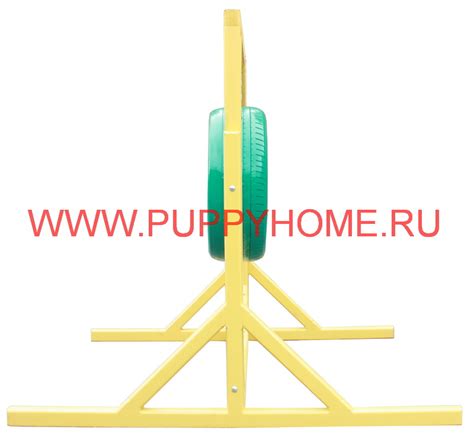 Снаряды для собак