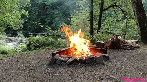 Haley Reed Porn Videos Porn Star Sex Scenes Xhamster