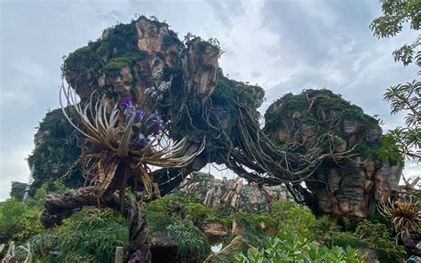 Guide To Pandora The World Of Avatar At Disney World