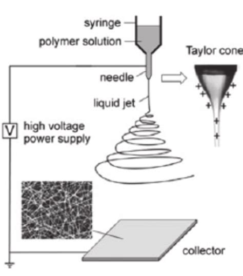 Schematic Illustration Of A Basic Electrospinning Setup The Taylor