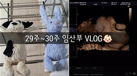 29주~30주 임산부 Vlog🐰애착인형 세탁임산부브이로그태교여행찹싸루니입체초음파 29주임산부 임산부vlog 애착