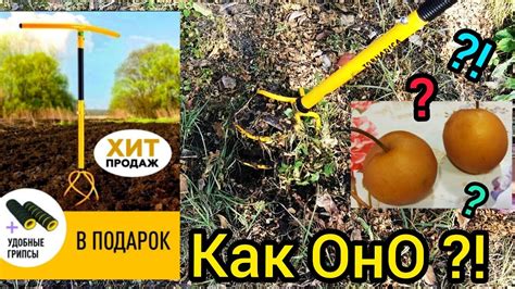 ТОРНАДО ручной Культиватор Обзор 😳 Груша НЭШИ китайская 😋 - YouTube