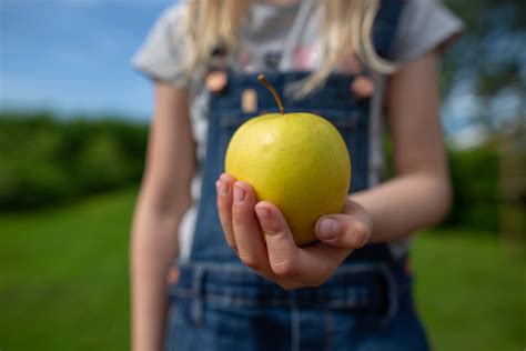 Red Apple With Two Green Apples · Free Stock Photo