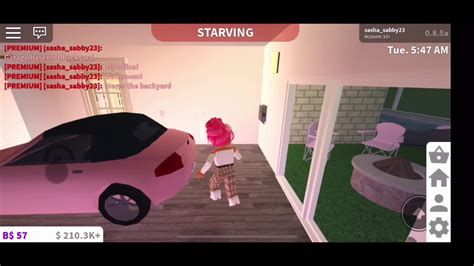 Roblox Pixar Up House