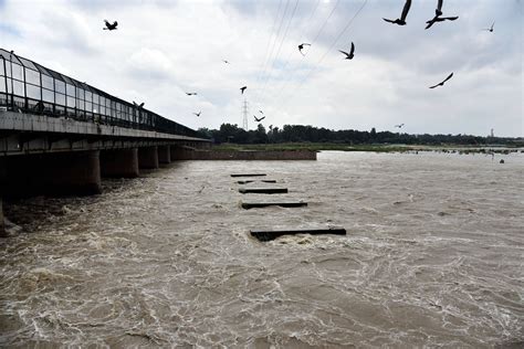 Water Released From Hathnikund Barrage Yamuna Nears Warning Mark In