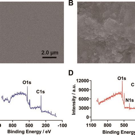 Sem Images Of The Original Glass Chip A And Ab1 Modified Glass Chip