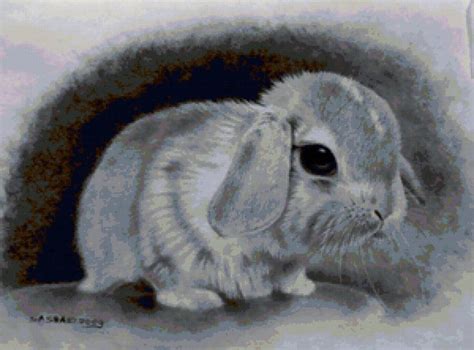 Схема вышивки «Чёрно-белый кролик))» (№97865) - Вышивка крестом