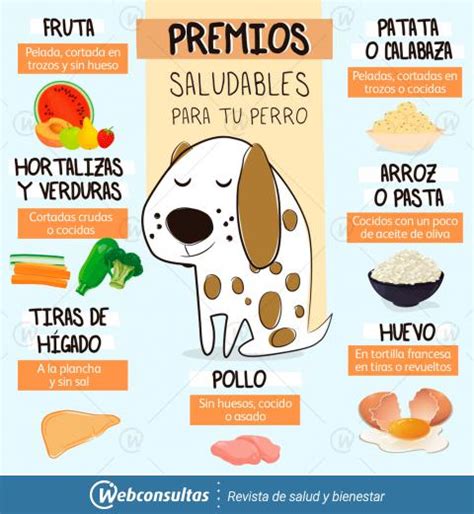 Frutas Y Verduras Ideales Para Tu Perro Conoce Las Mejores Opciones