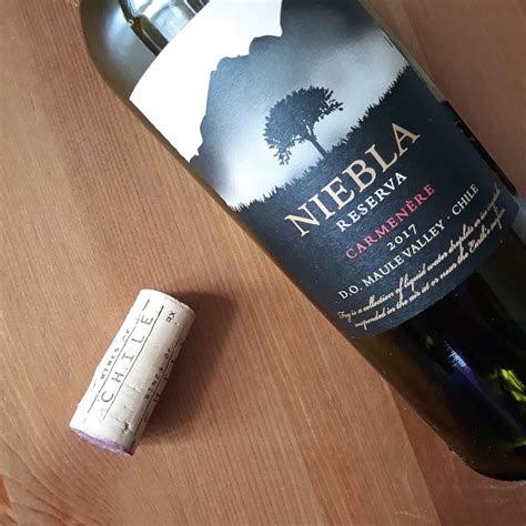 Вино в Магните. Чилийский Карменер Niebla Reserva 2017.