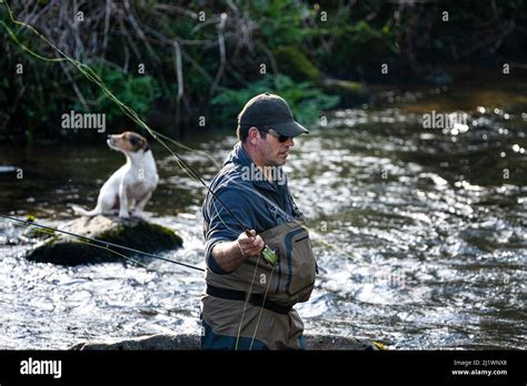 Gone Fishing A Fly Fisherman With His Dog Fly Fishing On The River