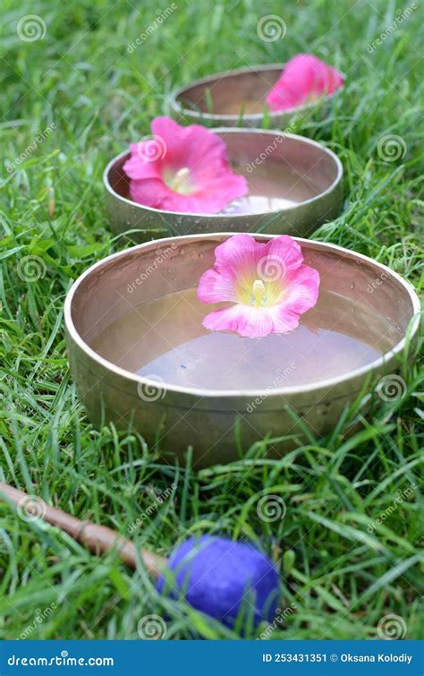 Tibetan Singing Bowls With Water And Pink Flowers On The Grass