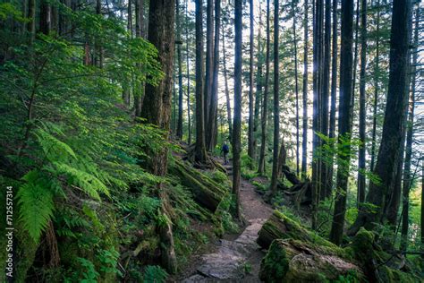 Rainbird Hiking Trail in Tongass National Forest in Ketchikan, Alaska