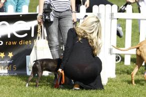 MEG MATHEWS Nude AZNude