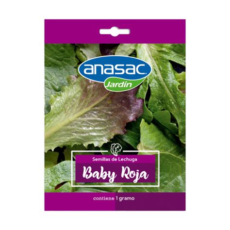 Semilla Lechuga Baby Leaf Roja 1 GR Anasac Tienda Agroservicios Capurro