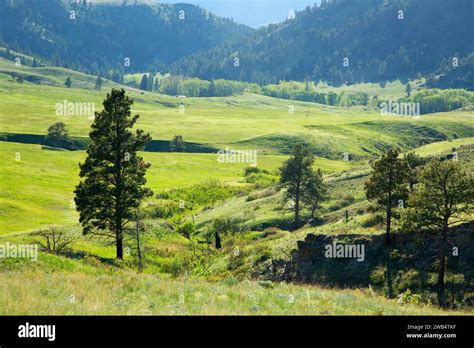 Beartooth Wildlife Management Area Hi Res Stock Photography And Images
