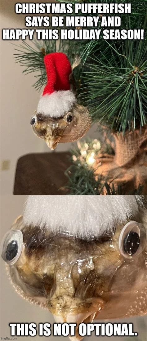 meme  socialismkills memedroid